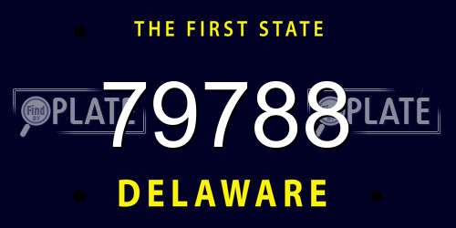 79788 Delaware License Plate