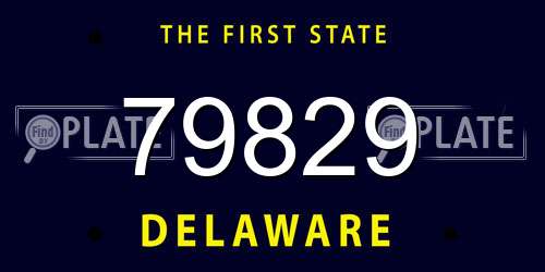 79829 Delaware License Plate