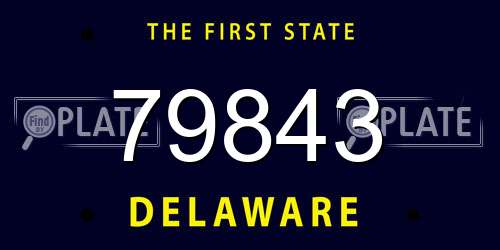 79843 Delaware License Plate
