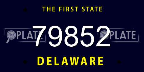 79852 Delaware License Plate