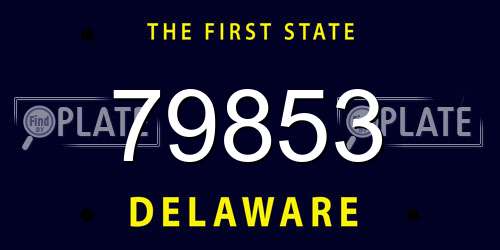 79853 Delaware License Plate