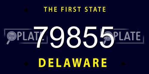 79855 Delaware License Plate