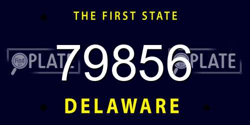 79856 Delaware License Plate