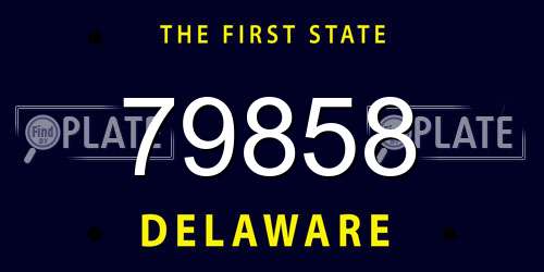 79858 Delaware License Plate
