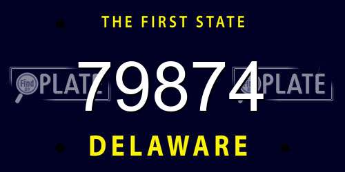 79874 Delaware License Plate