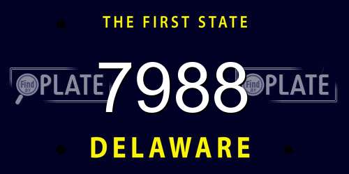 7988 Delaware License Plate