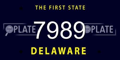 7989 Delaware License Plate