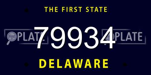 79934 Delaware License Plate