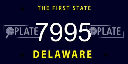 7995 Delaware License Plate