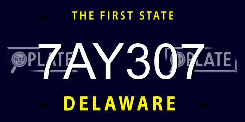 7AY307 Delaware License Plate