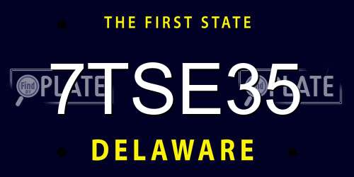 7TSE35 Delaware License Plate