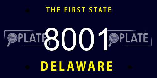 8001 Delaware License Plate