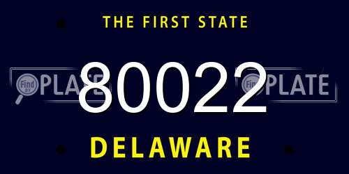 80022 Delaware License Plate