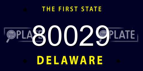 80029 Delaware License Plate