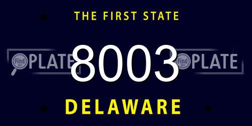 8003 Delaware License Plate