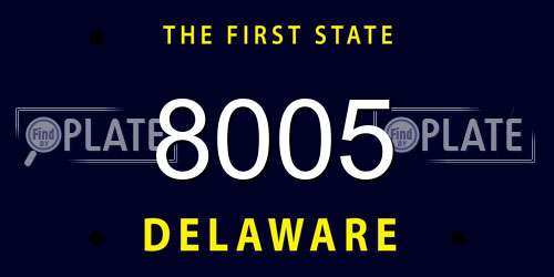 8005 Delaware License Plate