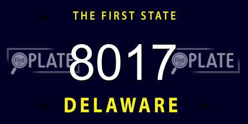 8017 Delaware License Plate
