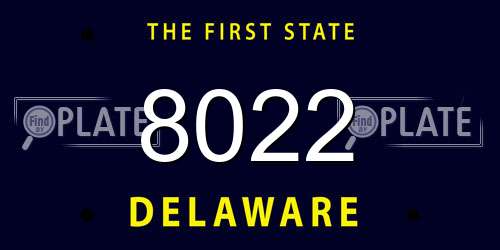 8022 Delaware License Plate
