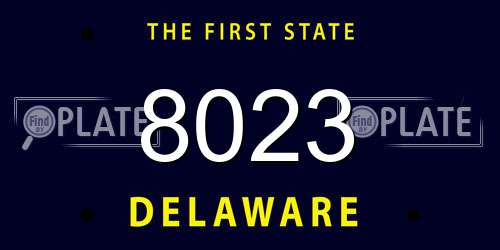 8023 Delaware License Plate