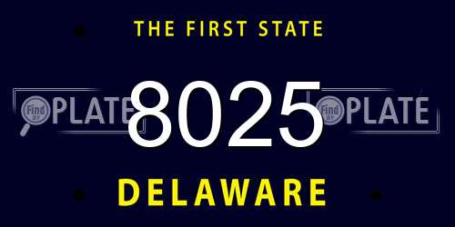 8025 Delaware License Plate