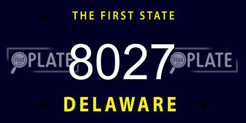 8027 Delaware License Plate