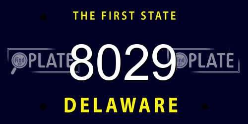 8029 Delaware License Plate