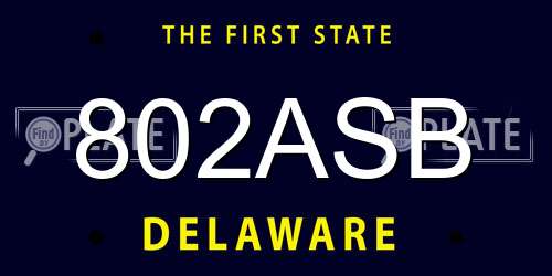 802ASB Delaware License Plate