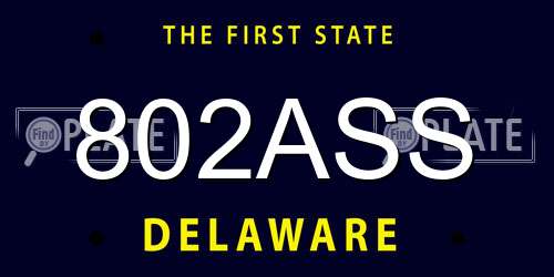 802ASS Delaware License Plate