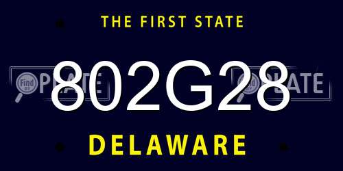 802G28 Delaware License Plate