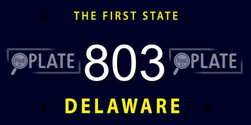 803 Delaware License Plate