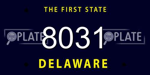 8031 Delaware License Plate
