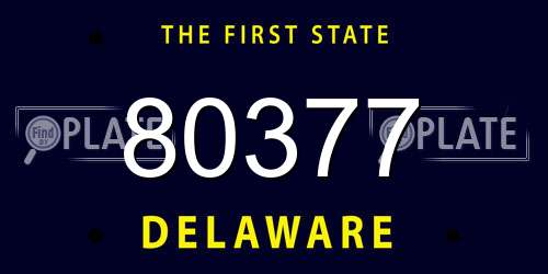 80377 Delaware License Plate