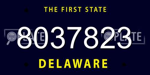 8037823 Delaware License Plate