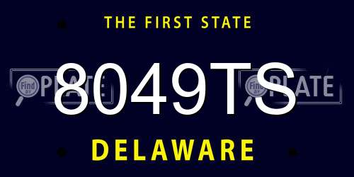 8049TS Delaware License Plate