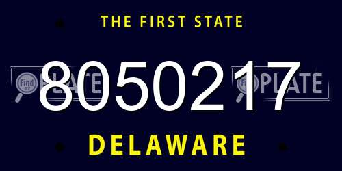 8050217 Delaware License Plate