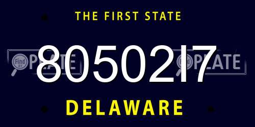80502I7 Delaware License Plate