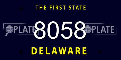 8058 Delaware License Plate