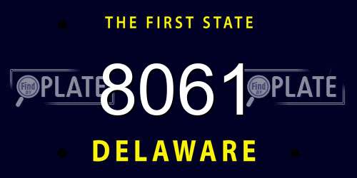 8061 Delaware License Plate