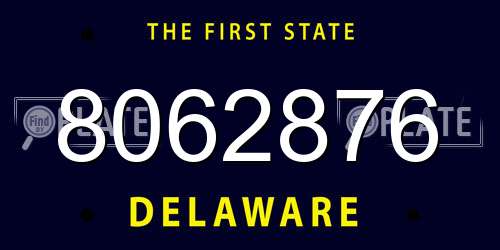 8062876 Delaware License Plate