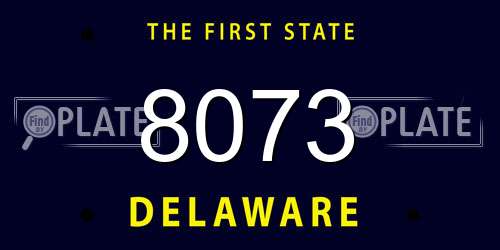 8073 Delaware License Plate