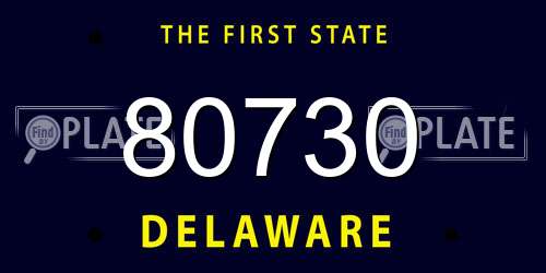 80730 Delaware License Plate