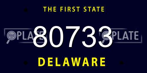 80733 Delaware License Plate