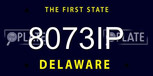 8073IP Delaware License Plate
