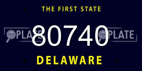 80740 Delaware License Plate