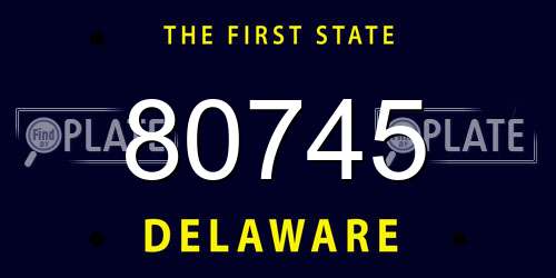 80745 Delaware License Plate