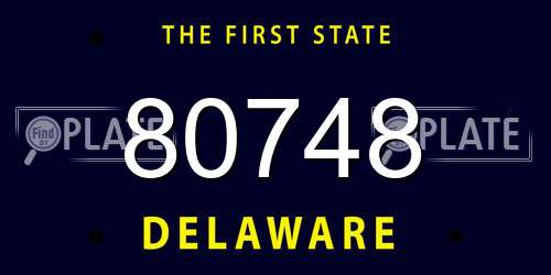 80748 Delaware License Plate