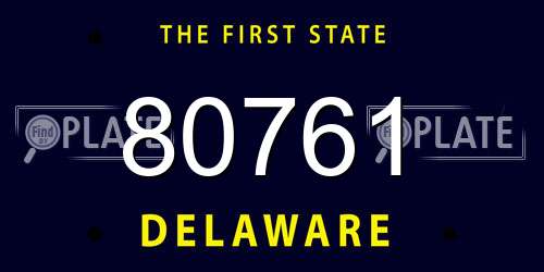 80761 Delaware License Plate