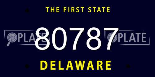 80787 Delaware License Plate