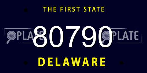 80790 Delaware License Plate
