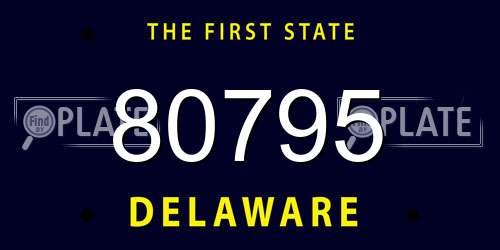 80795 Delaware License Plate